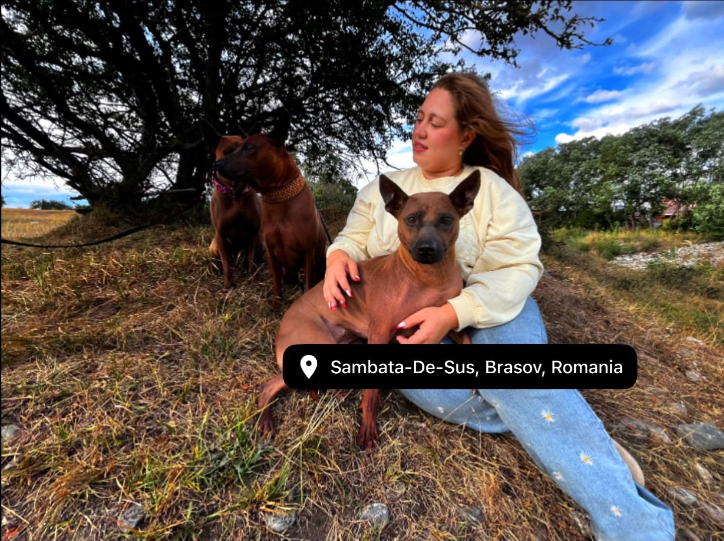 Leonie mit Maya und weiteren Thai Ridgebacks